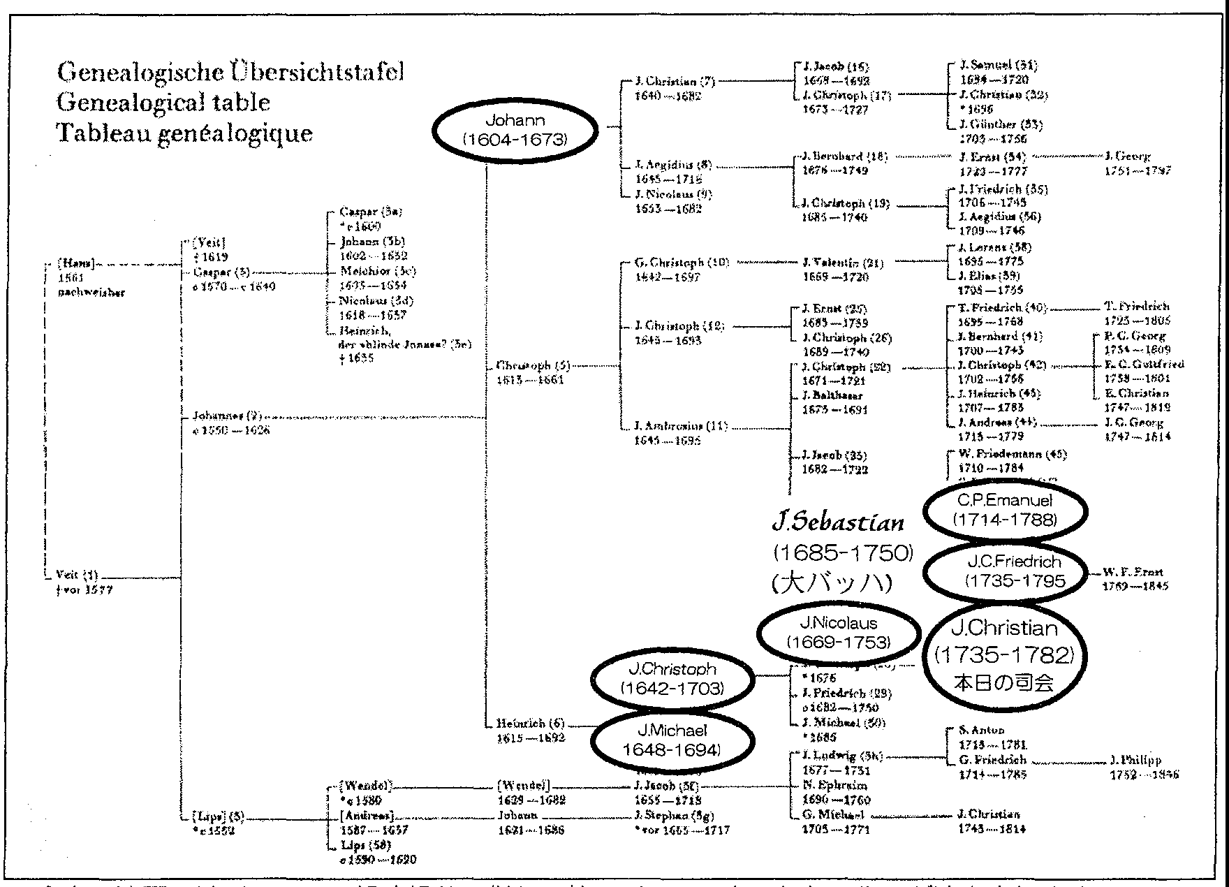 バッハ家系図